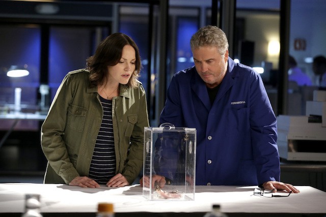 CSI torna con una serie evento per celebrare i vent’anni dal suo esordio?