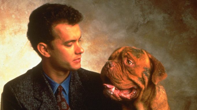 Turner e il Casinaro il film con Tom Hanks diventa una serie tv per Disney+