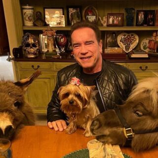 coronavirus-il-messaggio-di-arnold-schwarzenegger-in-auto-quarantena-video