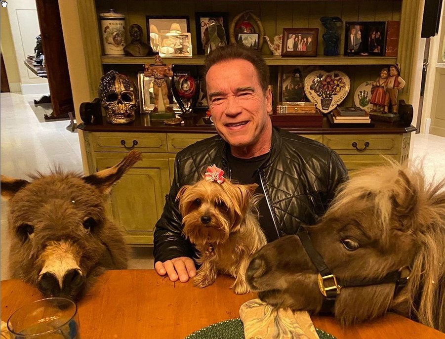 Coronavirus: il messaggio di Arnold Schwarzenegger in auto-quarantena (video)