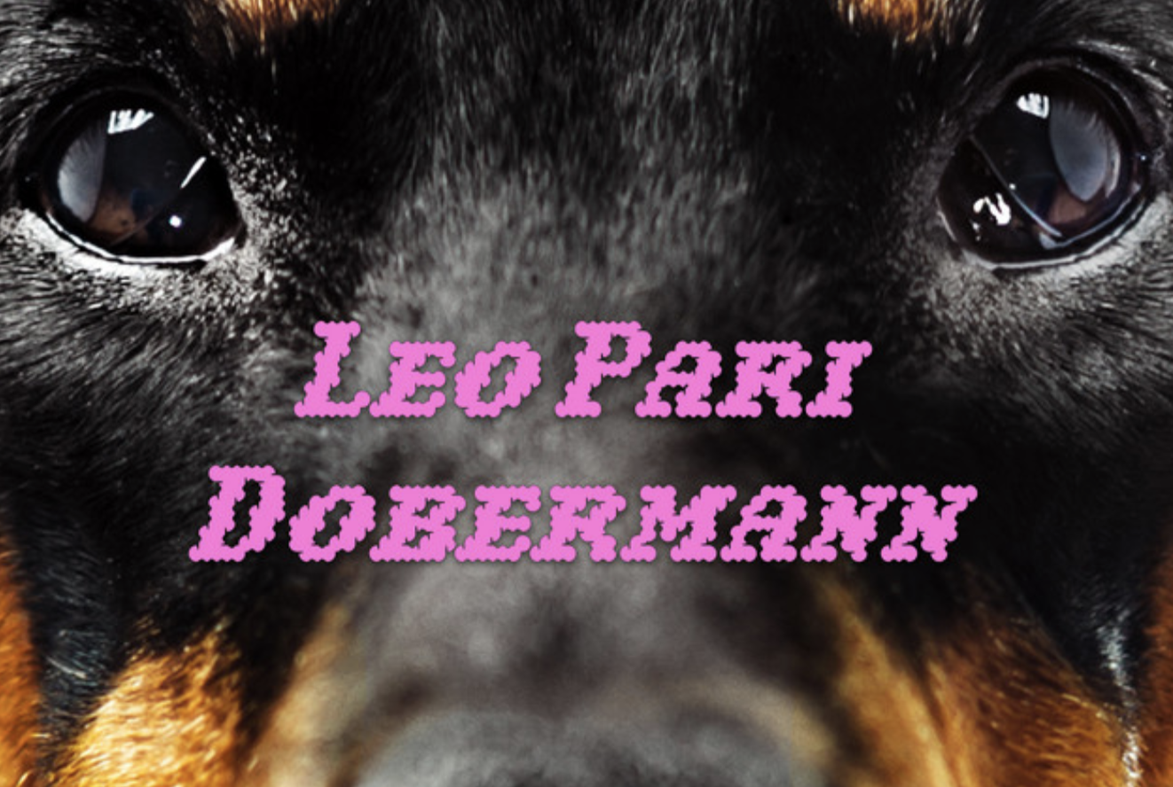 Dobermann, Leo Pari: ascolta il nuovo singolo (video)