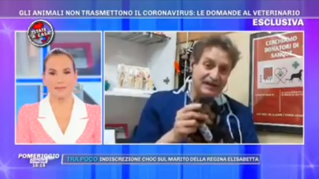 Pomeriggio 5, “disinfettare zampe cani con candeggina”, polemica per le parole del veterinario dalla d’Urso (VIDEO)
