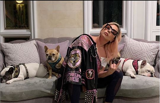 Lady Gaga in auto quarantena per emergenza Coronavirus