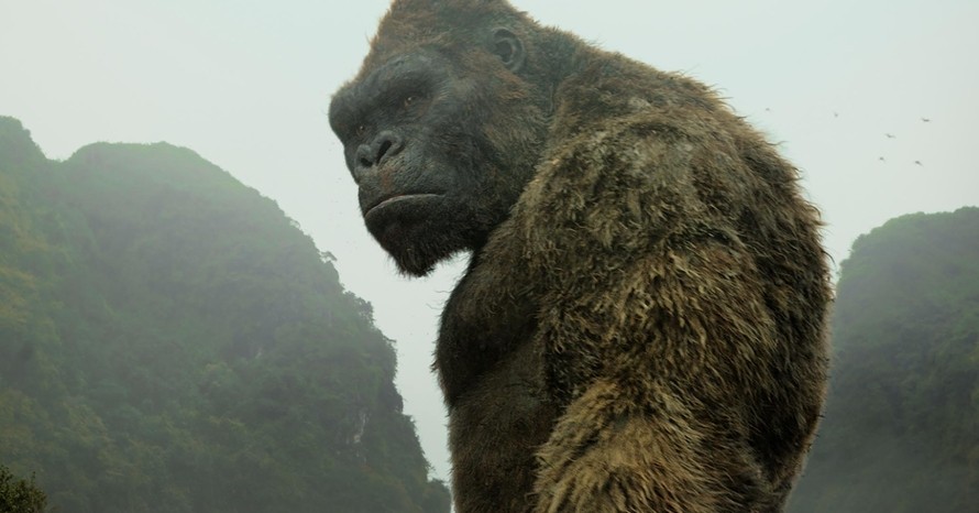 Godzilla vs Kong: svelate immagini di Kong adulto e “barbuto”