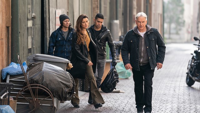 Ncis, Fbi, Blue Bloods: la Cbs rinnova 19 serie tv
