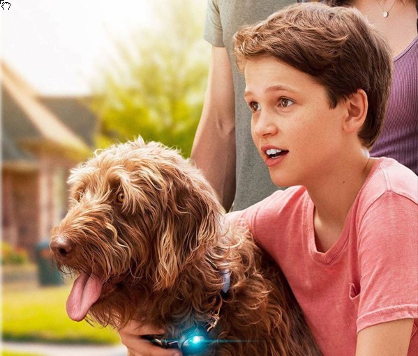 Think Like a Dog: trailer della commedia per famiglie con Megan Fox e Josh Duhamel