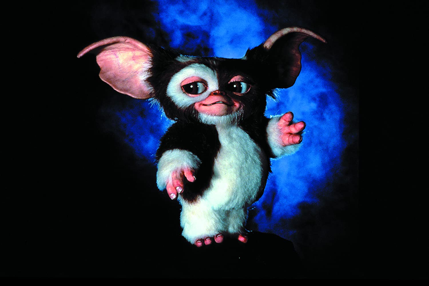 Gremlins 2 compie 30 anni: foto del sequel di Joe Dante
