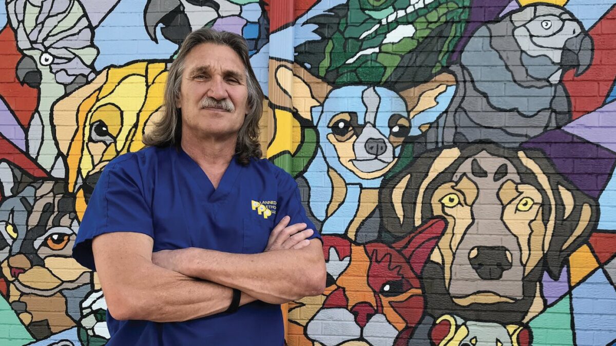 Dr Jeff: Animali Da Salvare: il veterinario è guarito dal cancro