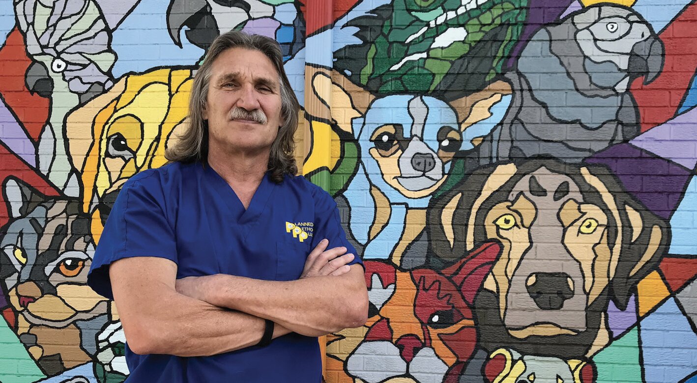 Dr Jeff: Animali Da Salvare: il veterinario è guarito dal cancro