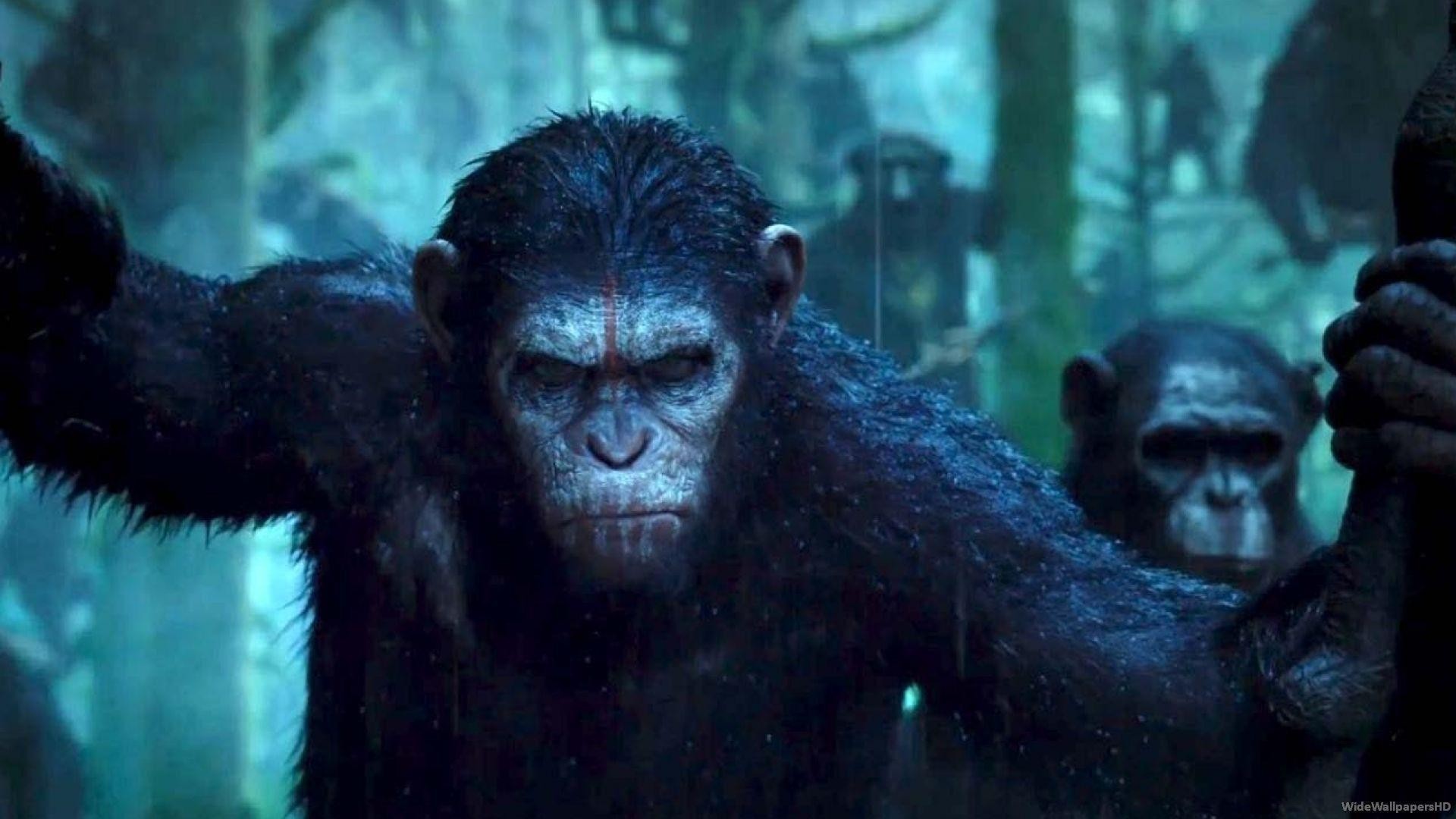 Stasera in tv: “Apes Revolution – ll pianeta delle scimmie” su Italia 1
