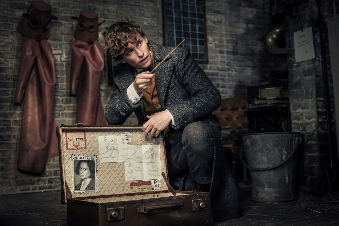 Animali Fantastici 3: Eddie Redmayne conferma riprese in corso dopo lo stop causa coronavirus