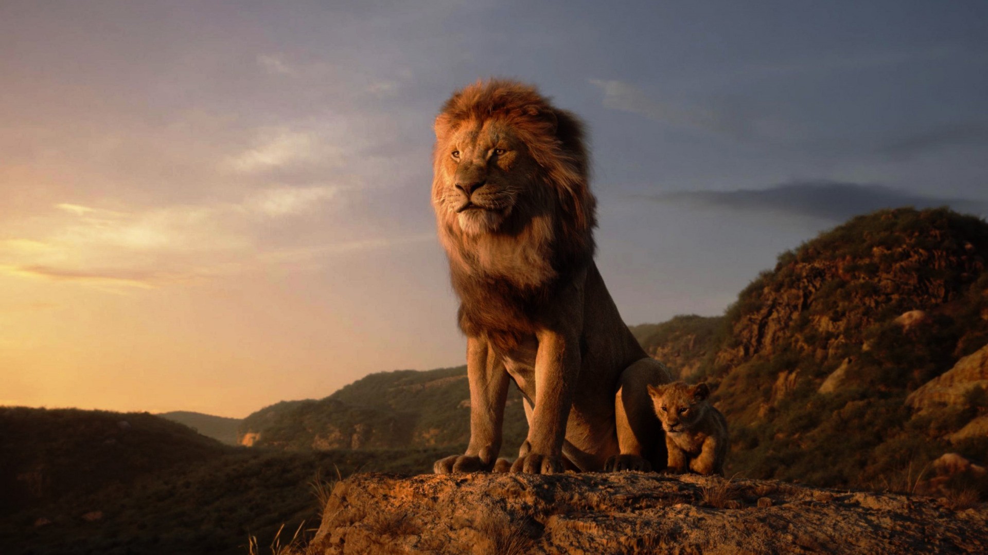 Il Re Leone 2: Disney annuncia il prequel live-action con la regia di Barry Jenkins
