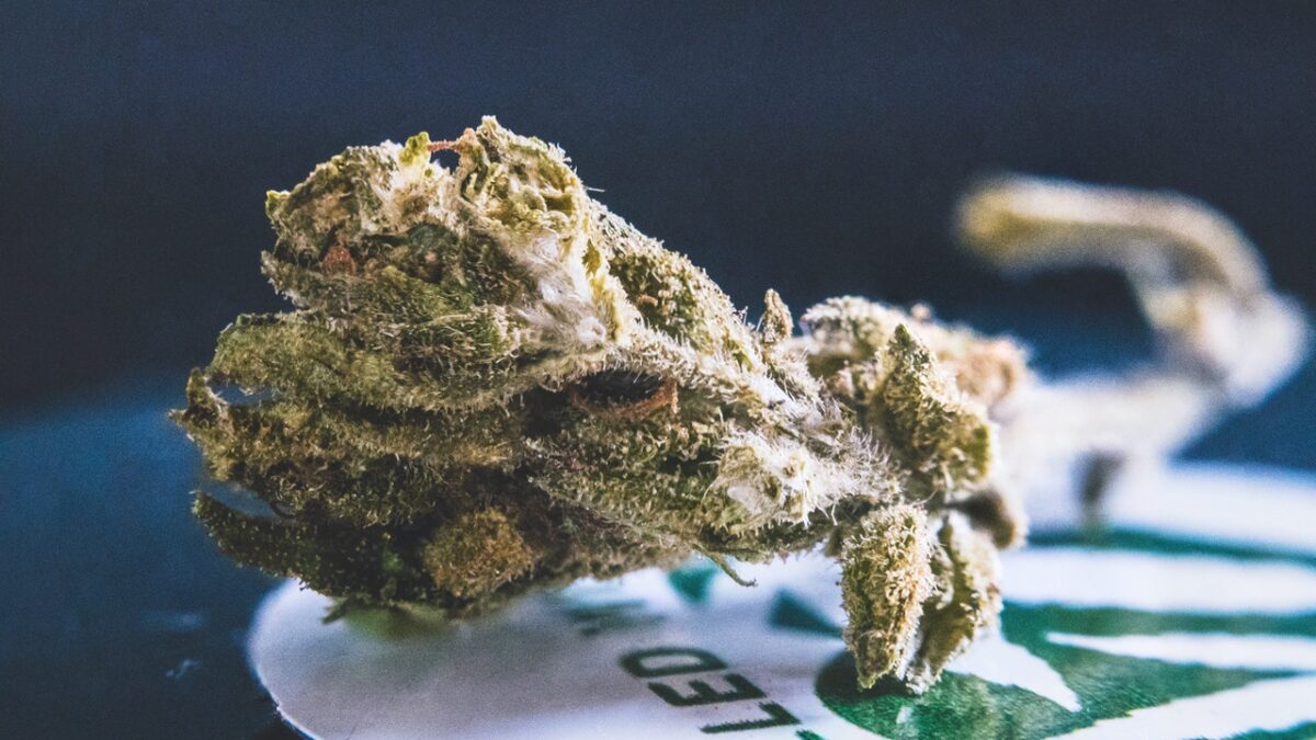 Pavia: tracce di marijuana nelle urine di bimba in coma