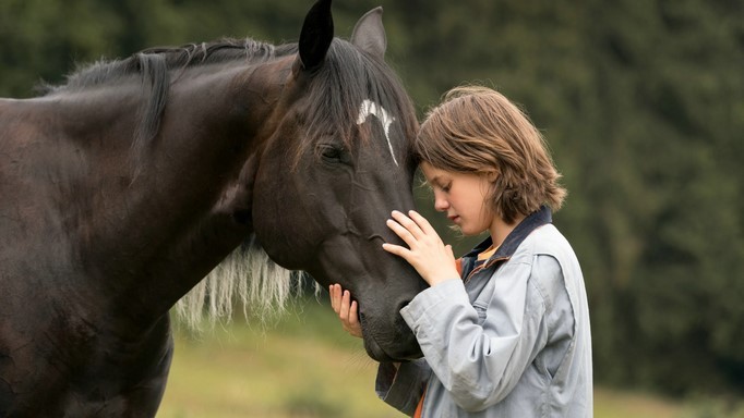 Windstorm 4: foto del film su Canale 5