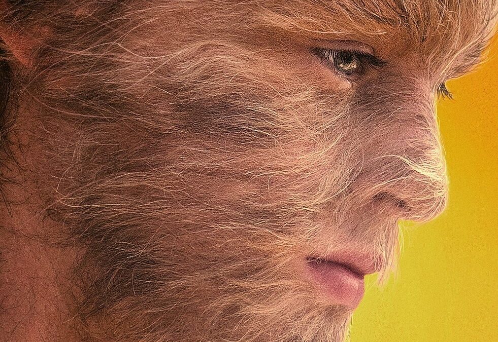 The True Adventures of Wolfboy: trailer del dramma con John Turturro e Chloë Sevigny