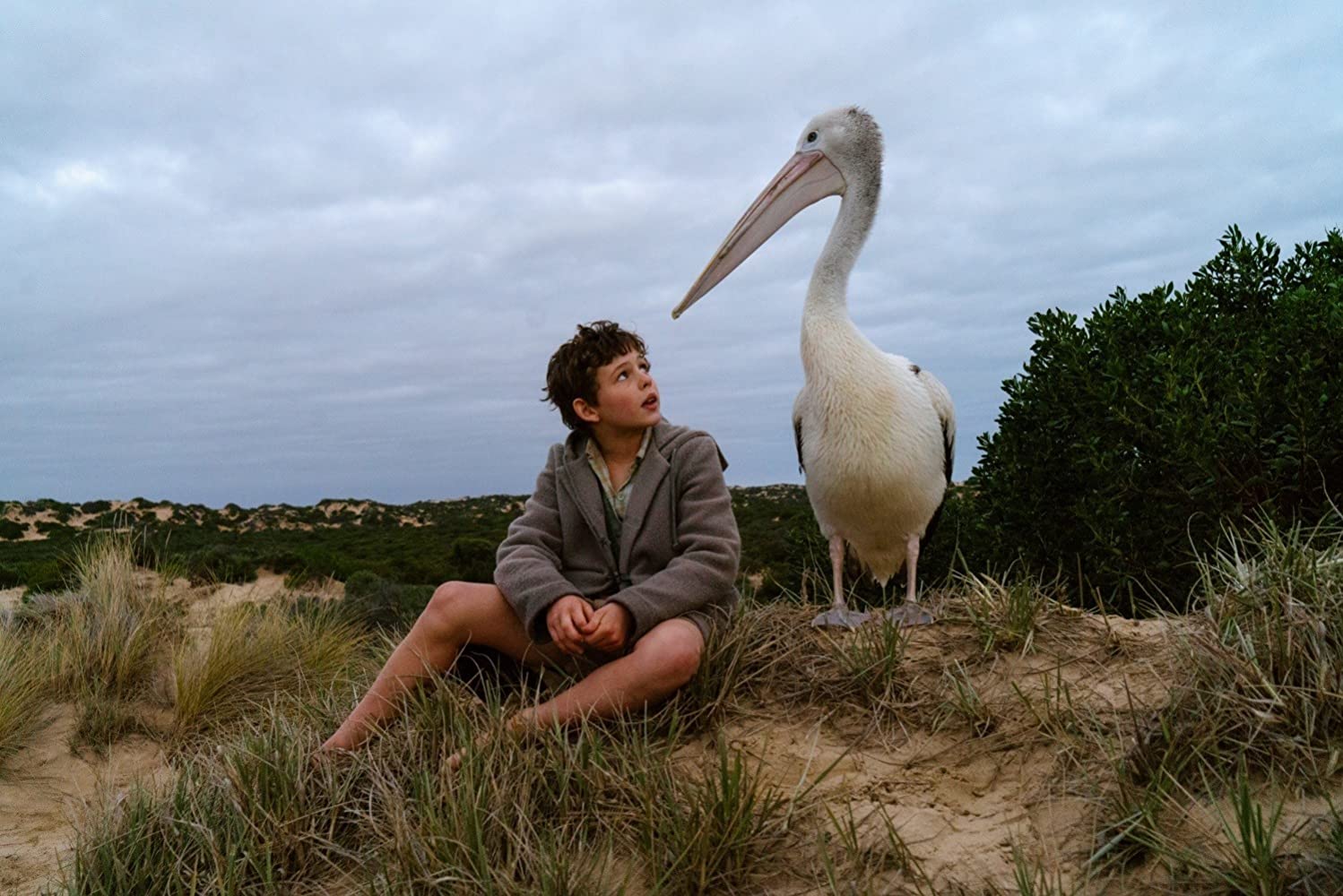 Storm Boy: trailer italiano del film con Jai Courtney e Geoffrey Rush
