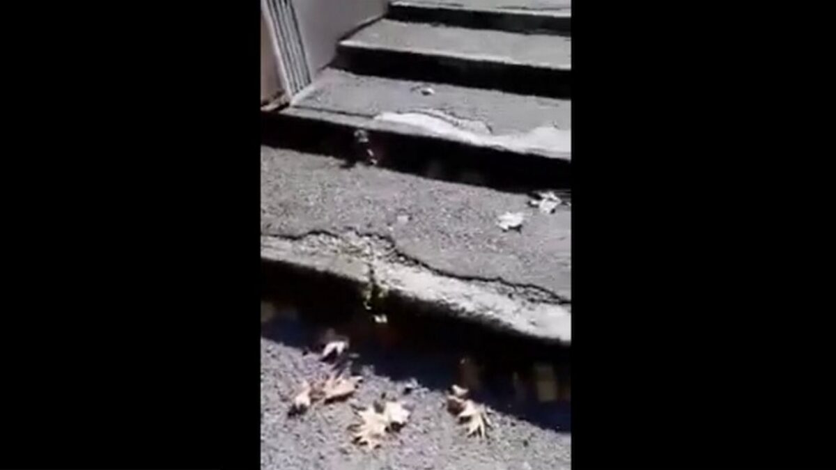 Milano, pronto soccorso vuoto? La bufala fa piangere la dottoressa (VIDEO)