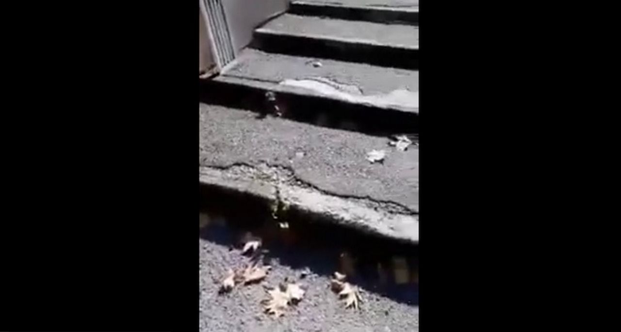 Milano, pronto soccorso vuoto? La bufala fa piangere la dottoressa (VIDEO)