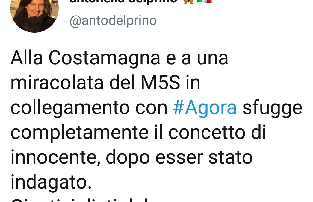 Antonella Delprino (autrice e inviata della Vita in Diretta) attacca Luisella Costamagna e la sua ospite: “Giustizialisti del caz*o”. Poi si scusa