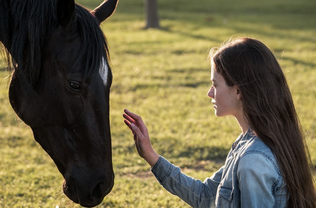 Black Beauty: Autobiografia di un Cavallo – trailer italiano del film originale Disney Plus