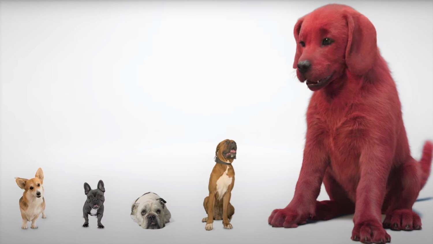 Clifford The Big Red Dog: primo trailer del film live-action