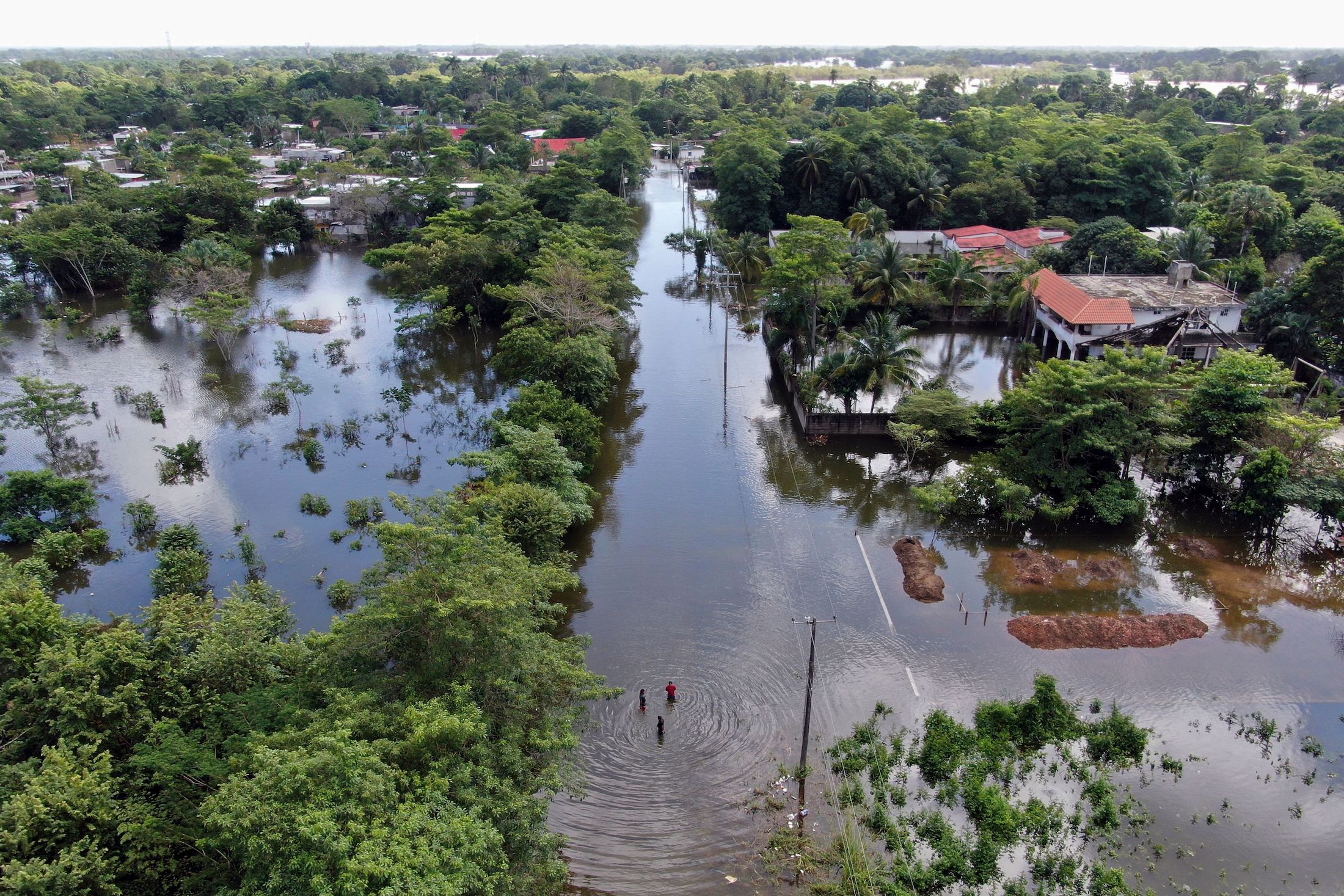 Sud del Messico colpito da inondazioni, a Villahermosa coccodrilli invadono città