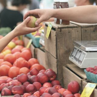 confcommercio decreto natale imprese