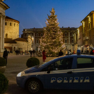 immunità di gregge