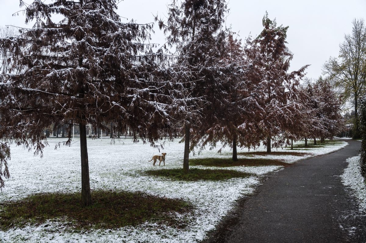 Milano: prima spolverata di neve – 2 dicembre 2020