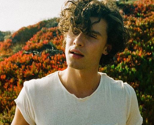 Teach me how to love, Shawn Mendes e la canzone ispirata da Camila Cabello