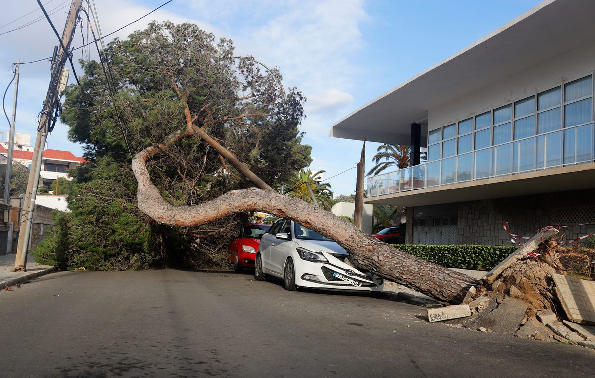 Tempesta a Palma di Maiorca: si contano i danni