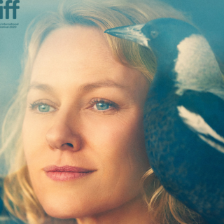 Penguin Bloom nuovo trailer del film Netflix con Naomi Watts (2)