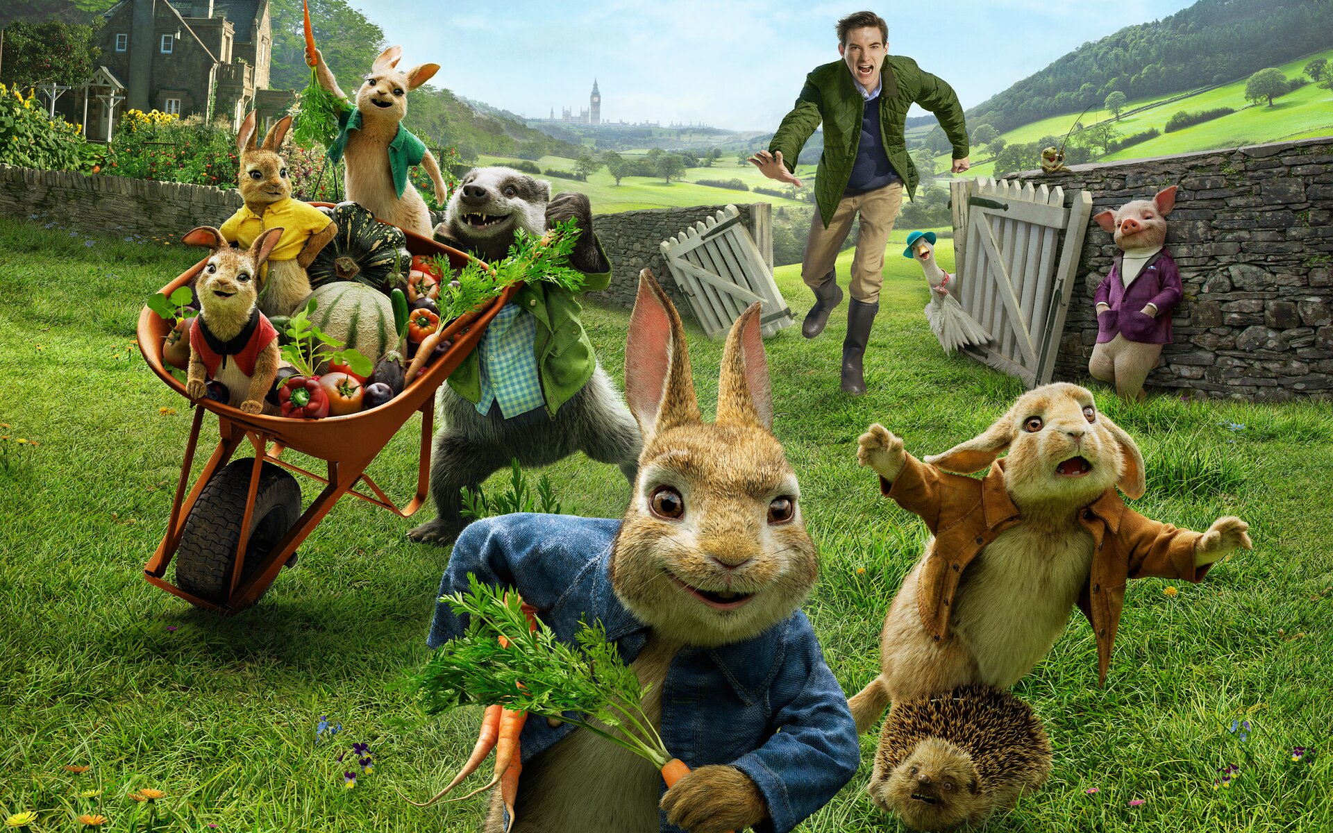 Stasera in tv: “Peter Rabbit” su Rai 2