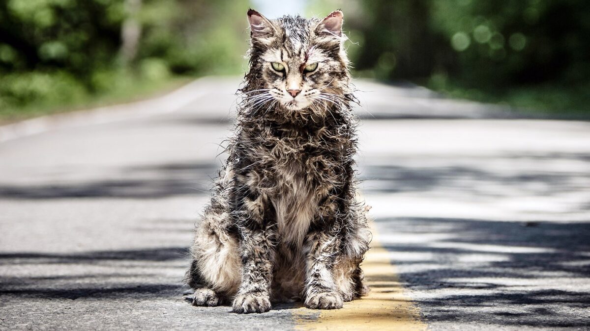 Pet Sematary: in sviluppo un prequel di Cimitero vivente