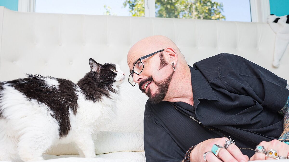 Il mio gatto è indemoniato: da Portland, un gatto idemoniato davvero