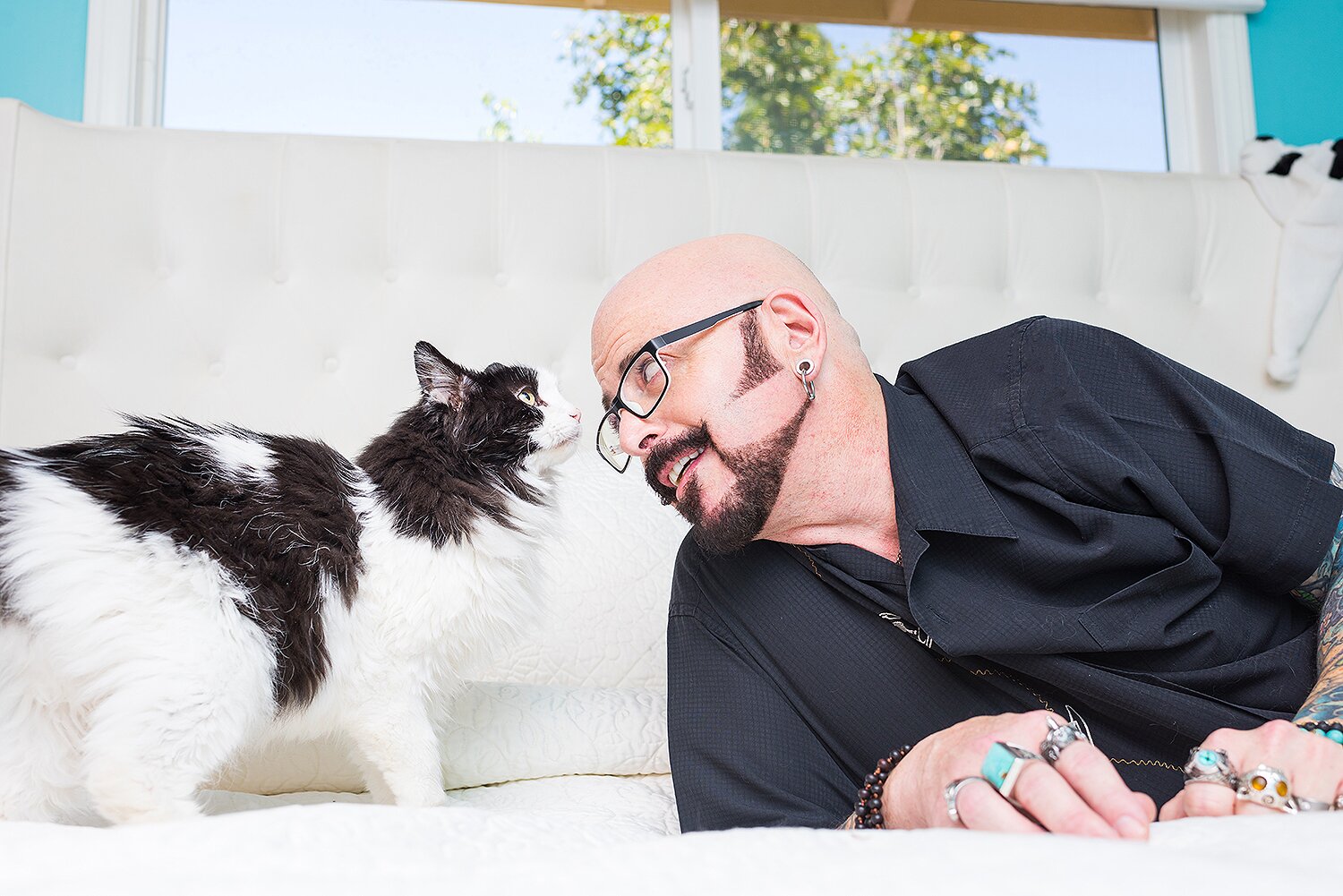 Il mio gatto è indemoniato: Quarantine Edition, lo spin-off ai tempi del Covid