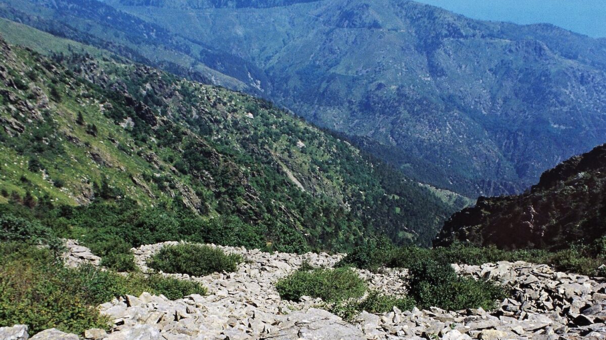 Liguria, via libera alla ricerca di titanio nel parco del Beigua. Col benestare del Ministro della Transizione Ecologica