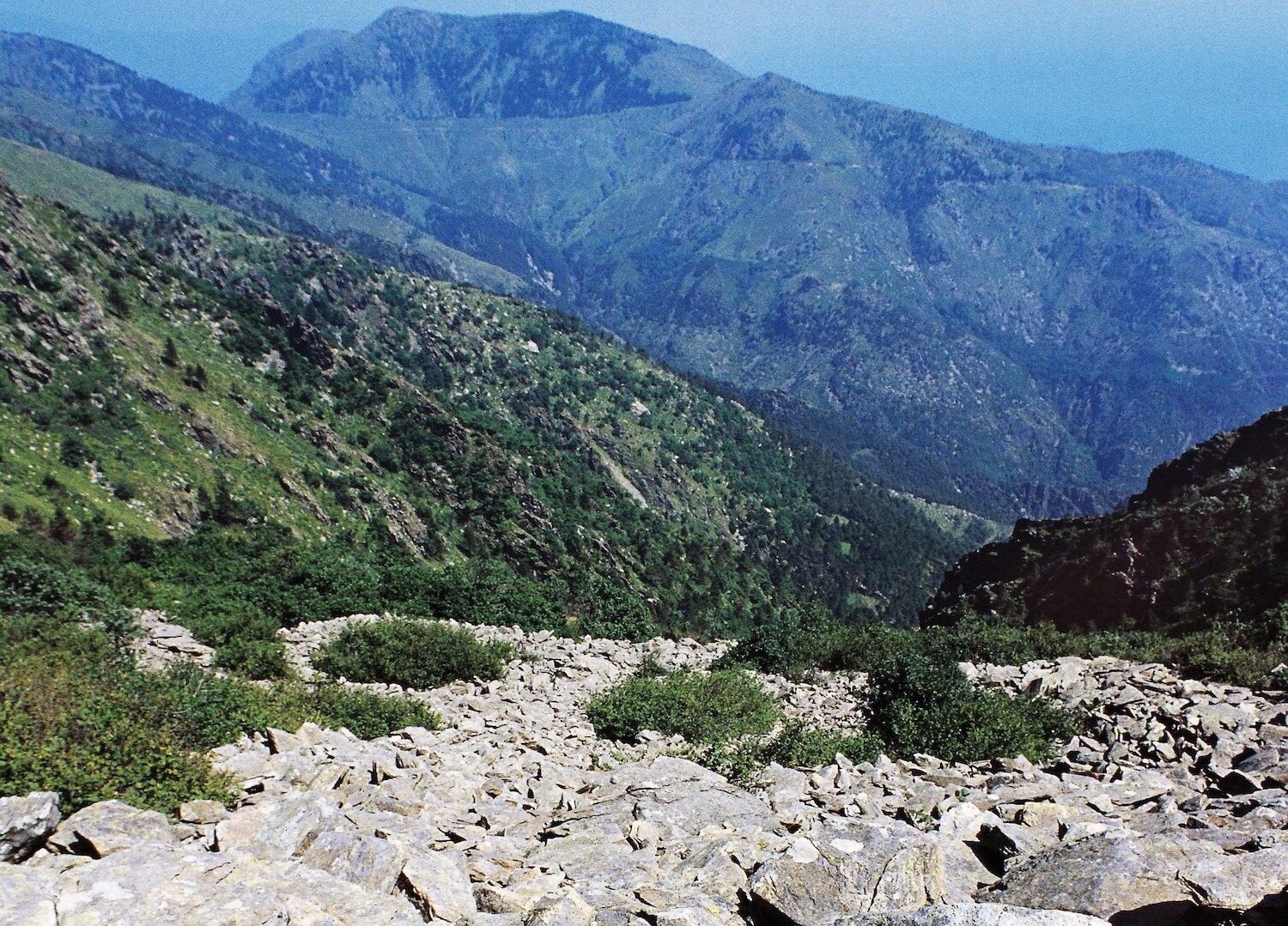 Liguria, via libera alla ricerca di titanio nel parco del Beigua. Col benestare del Ministro della Transizione Ecologica