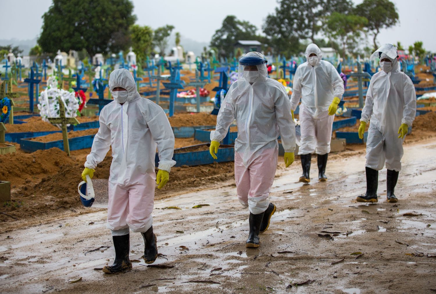 Quanto dobbiamo preoccuparci per la variante brasiliana (P1) del virus?
