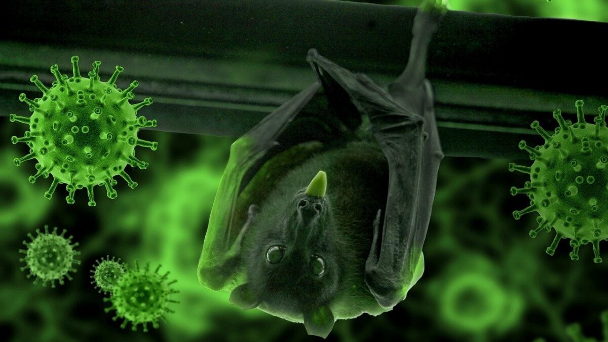 Due virus isolati dai militari cinesi simili al Covid: cosa significa?