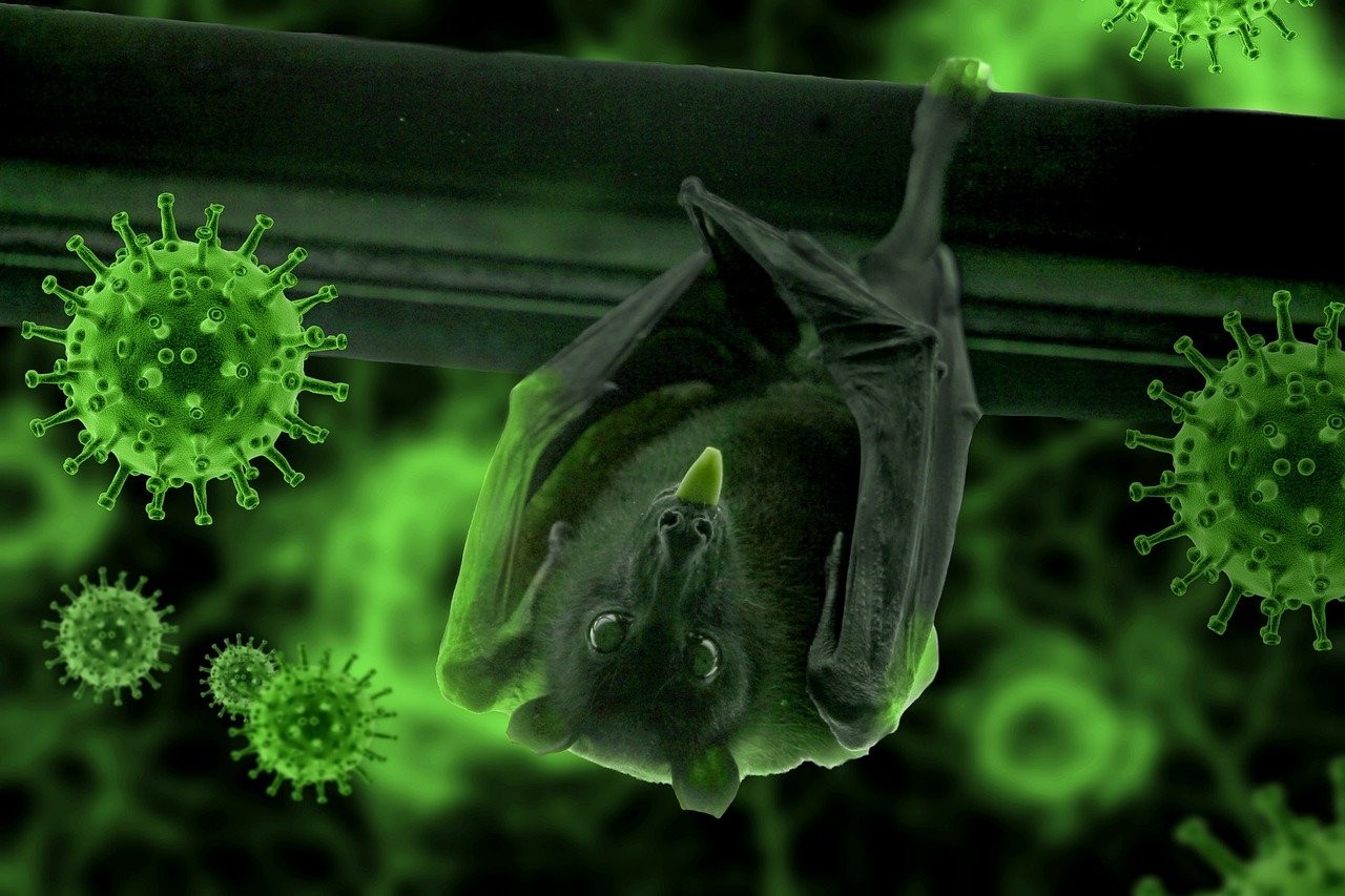 Due virus isolati dai militari cinesi simili al Covid: cosa significa?