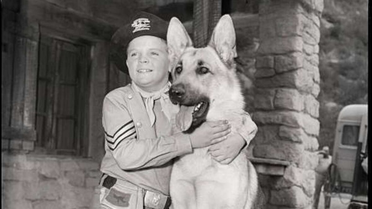 Rin Tin Tin, è morto Rusty: Lee Aaker aveva 77 anni