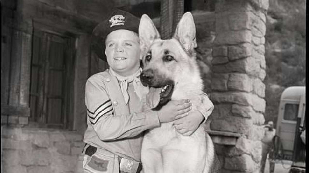 Rin Tin Tin, è morto Rusty: Lee Aaker aveva 77 anni