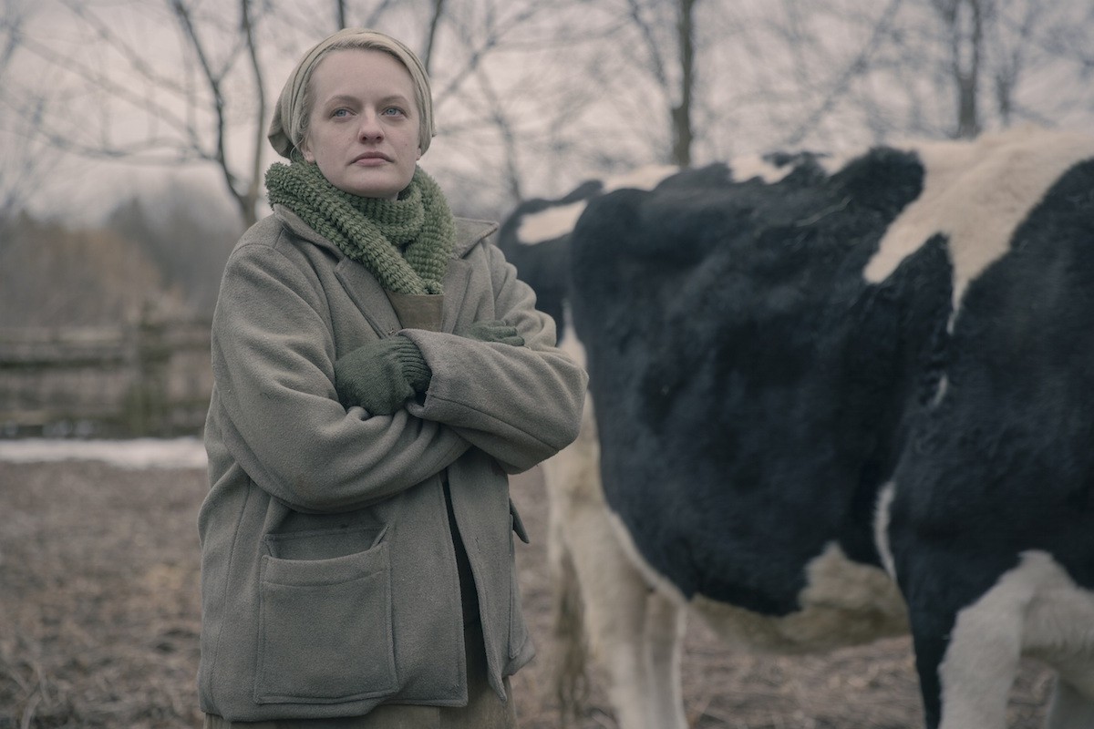 Le foto di The Handmaid’s Tale 4