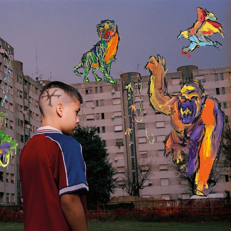 DJUNGLE TY1