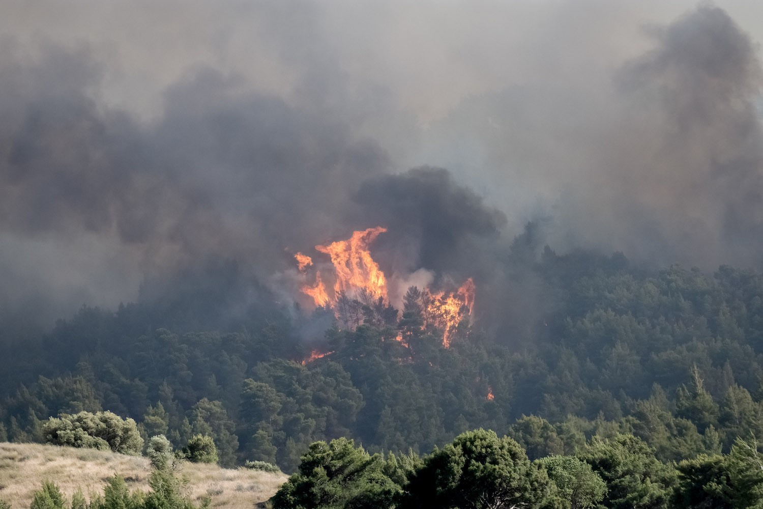 Grecia, si allarga l’incendio nel Golfo di Corinto. Evacuati altri 4 paesi