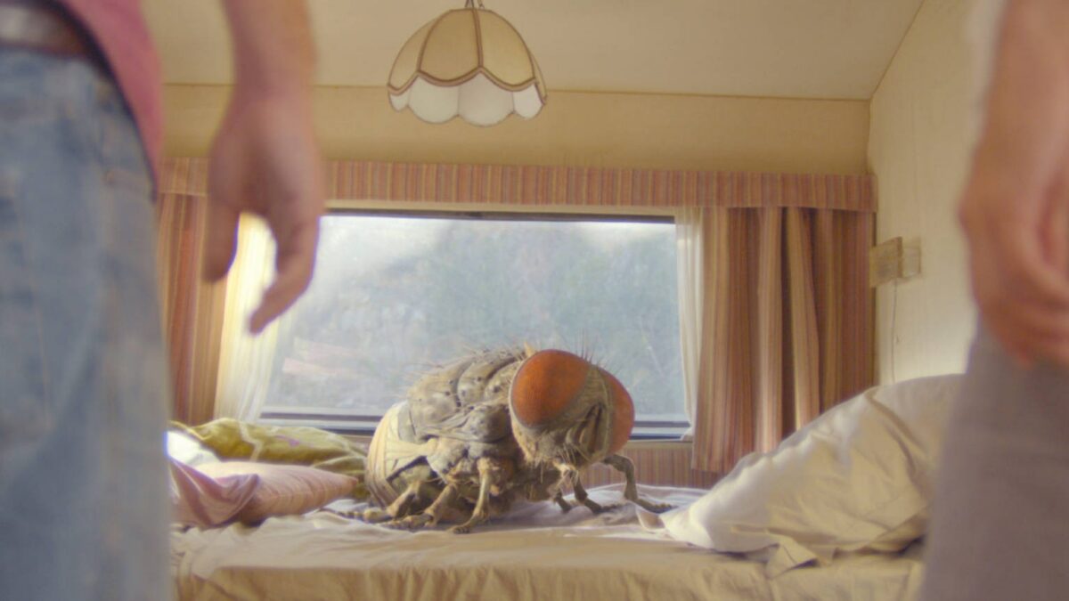 Mandibules – Due uomini e una mosca: trailer italiano della commedia di Quentin Dupieux