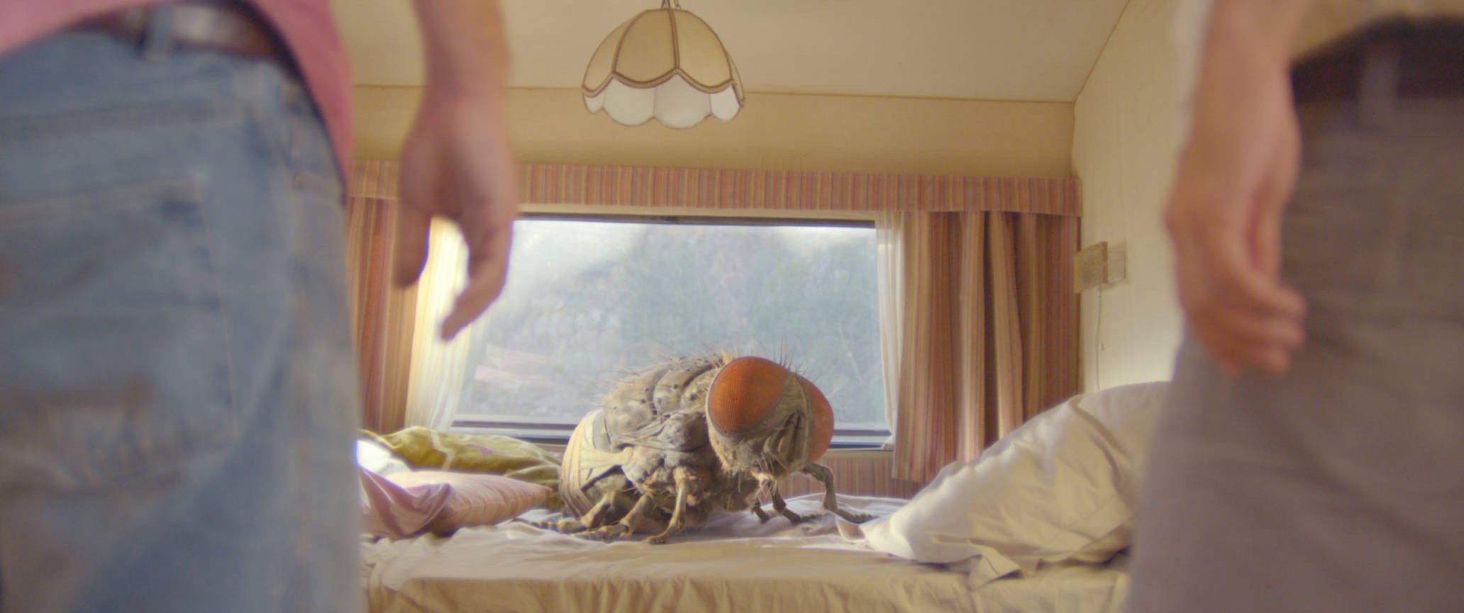 Mandibules – Due uomini e una mosca: trailer italiano della commedia di Quentin Dupieux