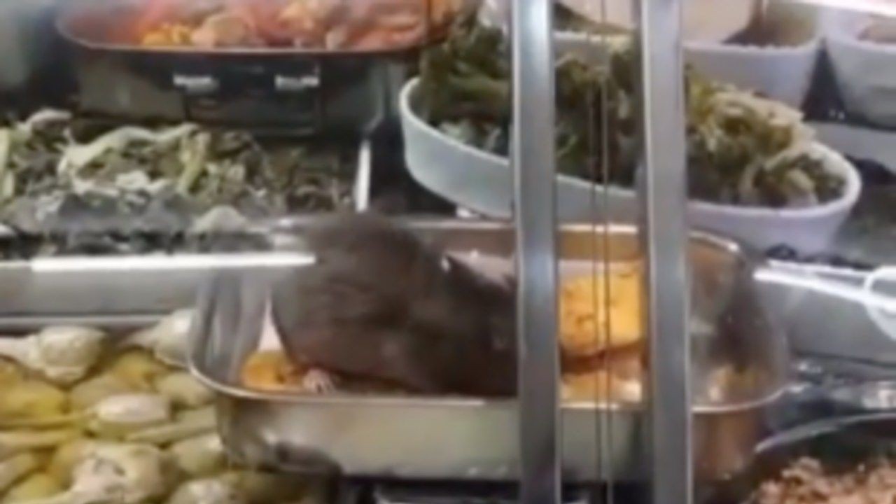 Topo in mezzo al cibo al supermercato: il video finisce in Rete