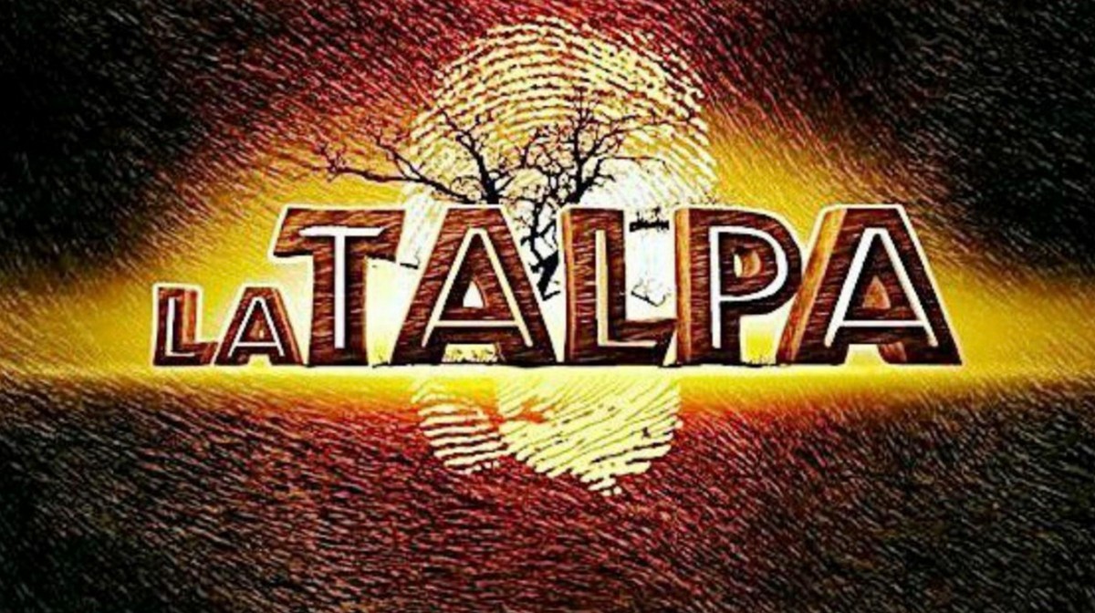 La Talpa, il ritorno nel 2022 su Canale 5: la storia
